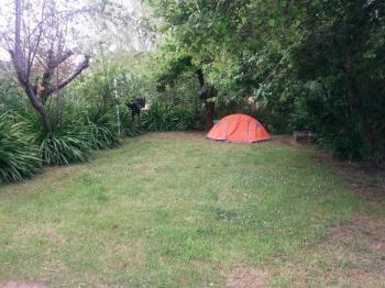 Camping El Molino en Puerto Octay, Los Lagos