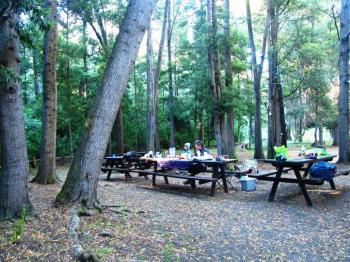 Camping Reserva Federico Albert en Chanco, Maule