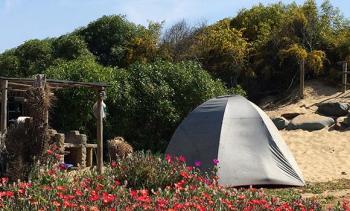 Camping Chivato en Coquimbo, Coquimbo