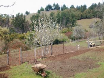 Agroturismo Ayun Mapu en Lumaco, Araucania