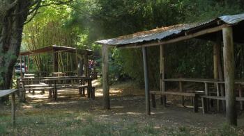 Camping Los Alamos en Padre De Las Casas, Araucania
