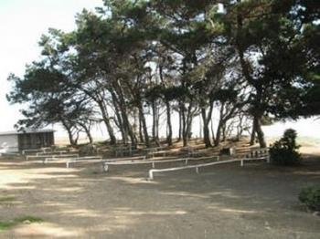 Camping Los Papayos en Vichuquen, Maule