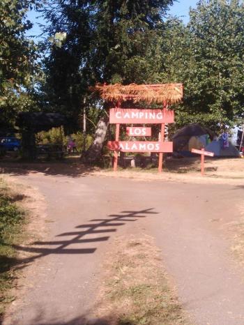 Camping Los Alamos en Rio Bueno, Los Rios