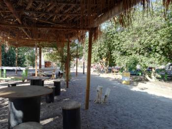 Camping El Guayito en Pica, Tarapaca