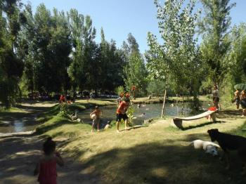 Camping Entre Bosques