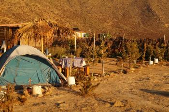 Eco Camping en Coquimbo, Coquimbo