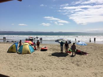 Camping Tongoy en Coquimbo, Coquimbo