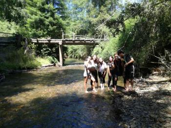 Camping Pangui-Valdivia en Los Lagos, Los Rios
