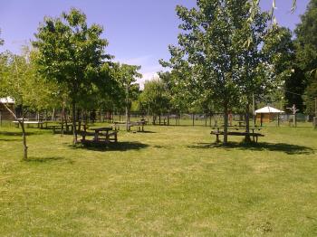 Camping El Fuerte en Rio Bueno, Los Rios