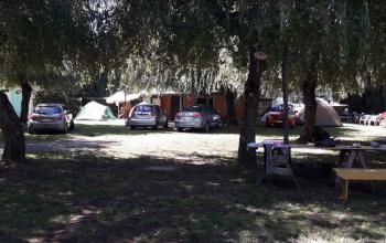 Camping Los Pinos en Rio Bueno, Los Rios