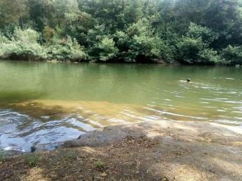 Camping El Che en Chillan, Bio Bio