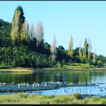 Camping Entre Rios en Dalcahue, Los Lagos