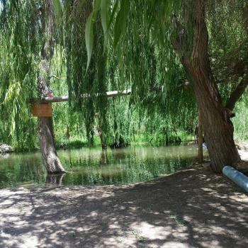 Camping Solar de Barbosa en La Serena, Coquimbo