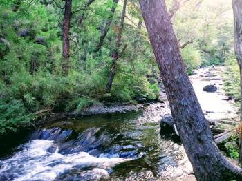 Agro Camping Las Raices en Lonquimay, Araucania