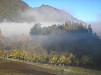 Agro Camping La Quinta (Turismo Kurralo) en Curarrehue, Araucania