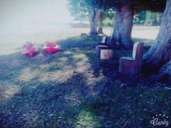 Camping El Faro de Tenaún en Dalcahue, Los Lagos