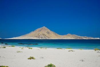 Camping Los Yecos en Chañaral, Atacama