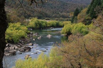Camping La Esperanza en Lautaro, Araucania