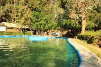 Camping Piedra del Gallo en Malloa, Ohiggins