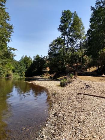 Camping Lily en Carahue, Araucania