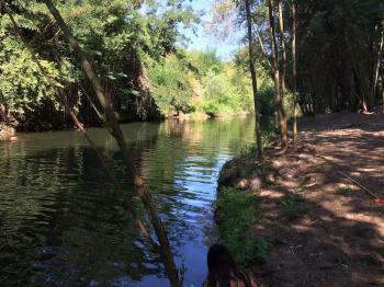 Camping los Aromos - Potrero Grande en Curico, Maule