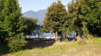 Camping y Cabañas Pitreño en Lago Ranco, Los Rios
