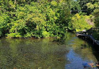 Camping Parque La Poza en Pucon, Araucania