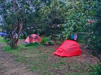 Camping Paraíso en Ancud, Los Lagos