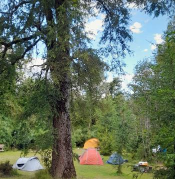 Alto Trapel Camping y Cabañas en Panguipulli, Los Rios