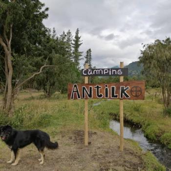 Camping Antilko en Melipeuco, Araucania