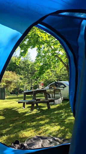 Camping Coñaripe Entre Coihues en Panguipulli, Los Rios