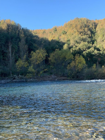 Camping Picunche en Linares, Maule