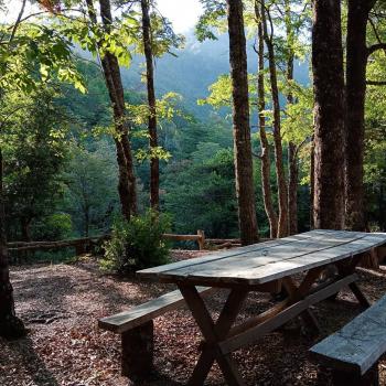 Camping La Piedra Del Queso en Melipeuco, Araucania